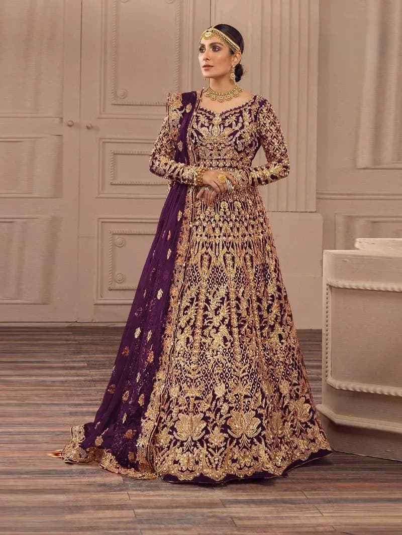 Noor Mahal Net Gown